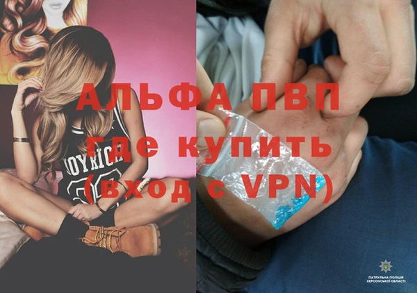 PSILOCYBIN Козельск