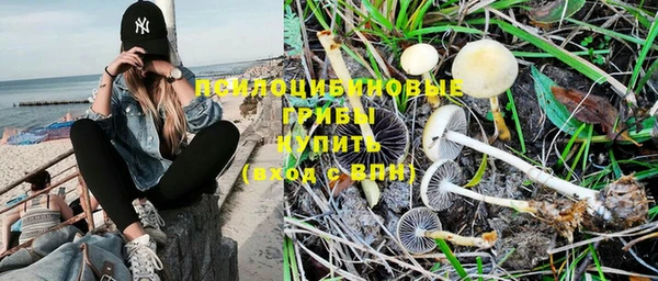 PSILOCYBIN Козельск